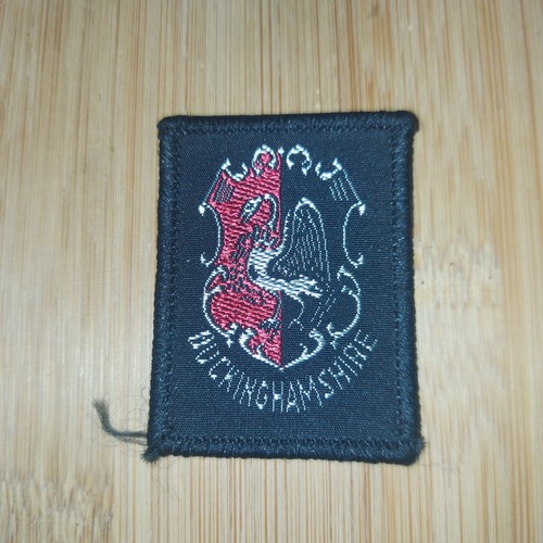 Scouting county badge - scouting,