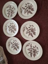 Vintage Royal Victoria Wild