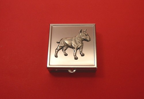 English bull terrier square - english,