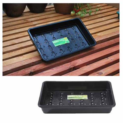 Garland standard seed - seed, tray