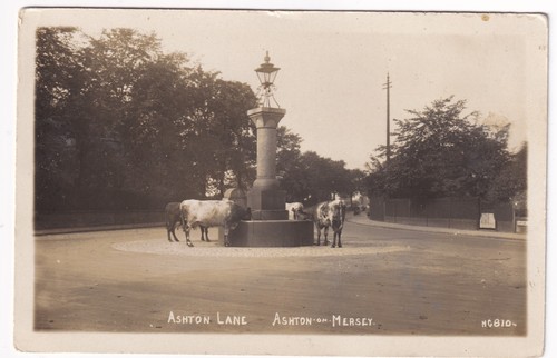 Ashton mersey lane - ashton,