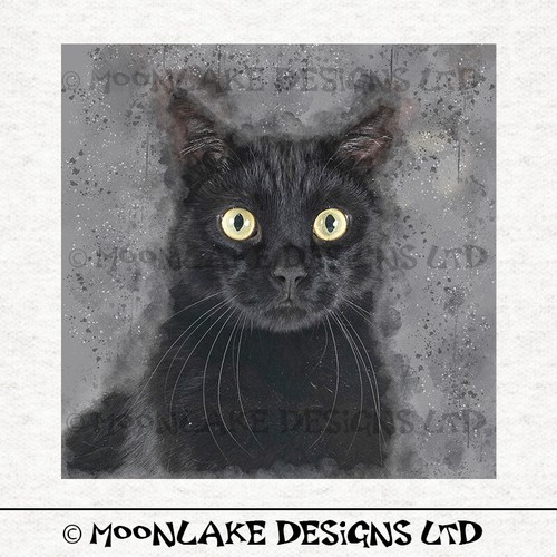 Cat black portrait - cat,