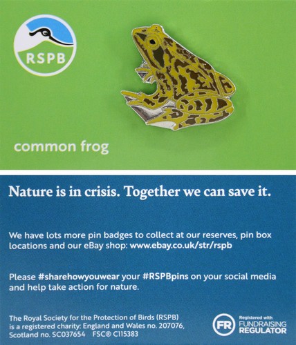 Rspb pin badge niic - rspb, common