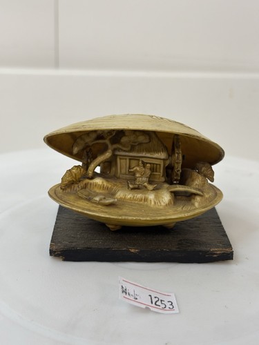 1950s celluloid clam shell - 1950s,
