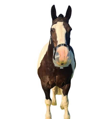 Thinline flexible filly - flexible,