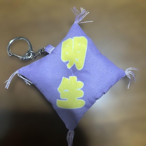 Akio tamagaki sumo gacha - sumo,