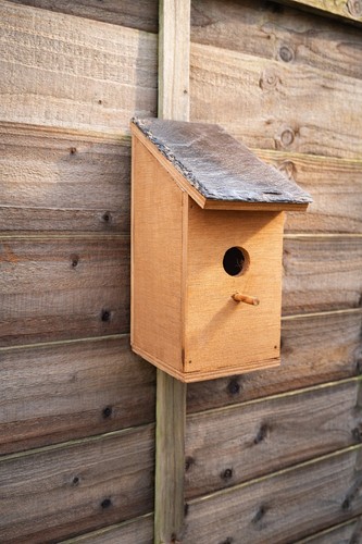 Wooden bird box 32mm - wooden, box,