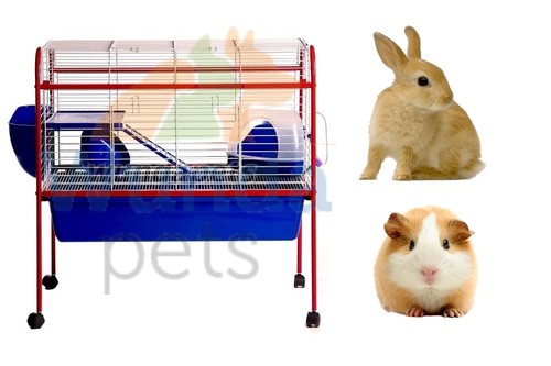 88cm indoor dwarf rabbit - 88cm,