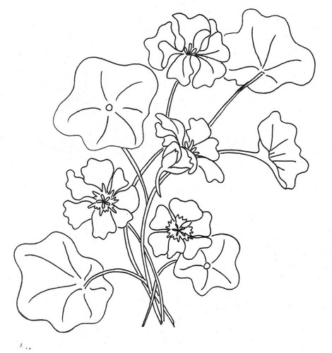 Embroidery transfer iron - embroidery,
