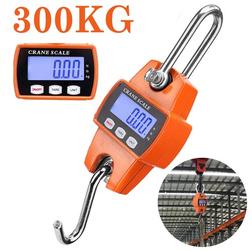 300kg mini crane scale - 300kg,