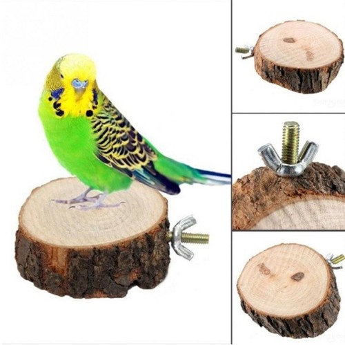 Wooden round parrot bird - parrot,