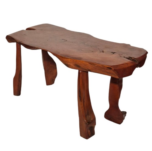 Live edge tree - tree, slice