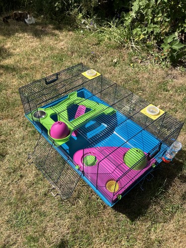 Hamster cage enclosure - hamster,
