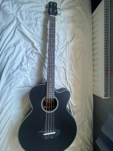 Electro acoustic bass - electro, guitar