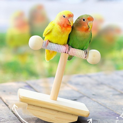 Bird training stand - training, tabletop