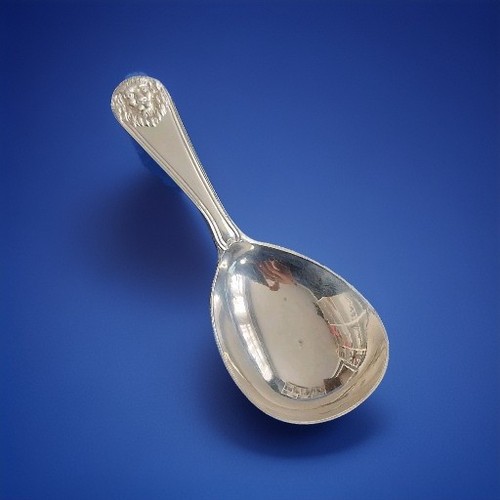 Sterling silver caddy spoon - silver,