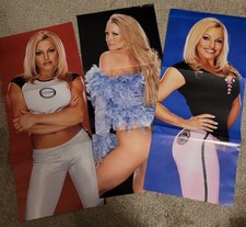 WWE Posters X 3 Trish Stratus, Sable and Brock Lesnar