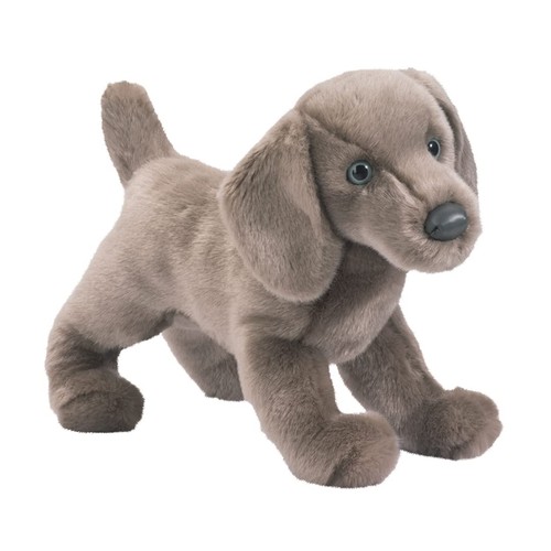 Douglas cassie weimaraner - douglas,