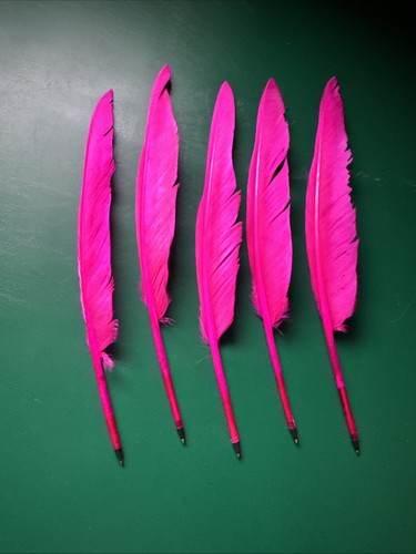 Feather quill pens biro - feather,