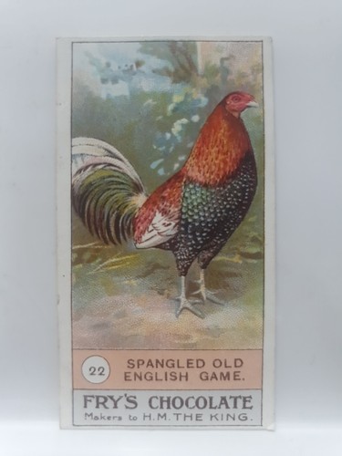 Frys pure cocoa card - pure, card,