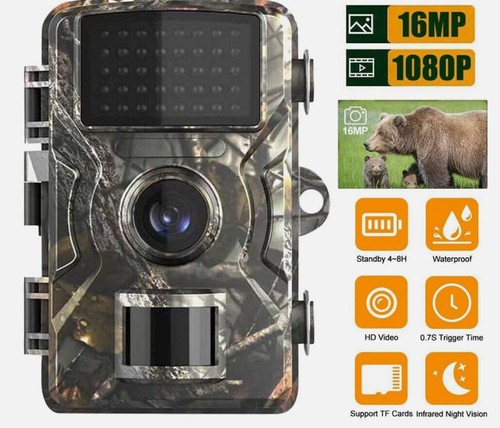 Wildlife camera with - wildlife,