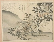 BAIREI LIZARD SKINK CRICKET