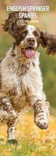 English Springer Spaniel 2026 Slim Calendar