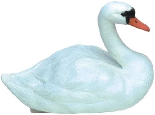 Medium white swan floating - swan, koi