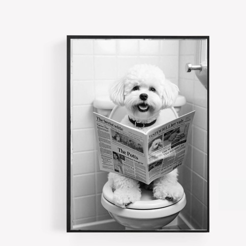 Bathroom bichon frise - bichon, dog