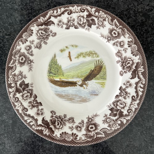 Spode woodland birds - of, prey