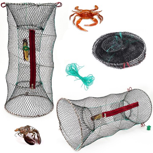 Giant lobster crab crayfish - lobster,