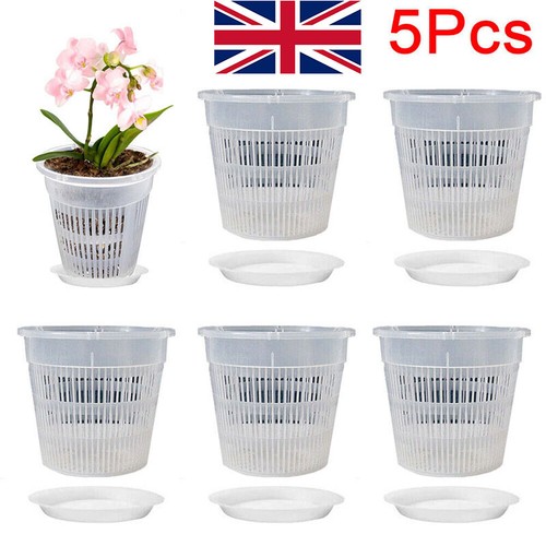 5pcs clear orchid pots - clear,