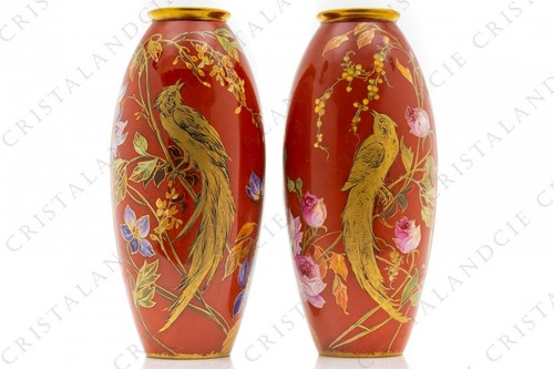 Pair birds paradise - of,