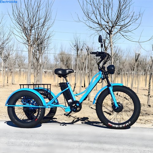 Inch electric tricycle 48v - electric,