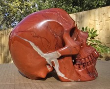Skullis. Lifesized 7.1" Red
