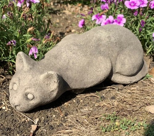 Stone garden laying - stone,