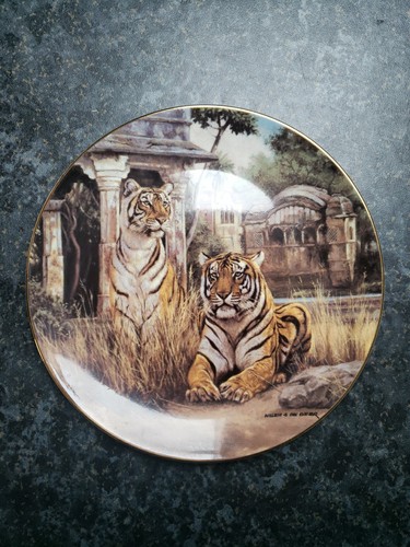 Set limited edition royal - 9,