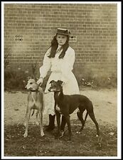 GREYHOUND GIRL AND TWO DOGS