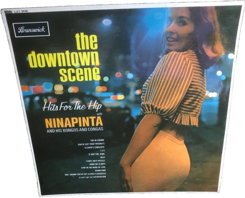 Ninapinta and his bongos - ninapinta,