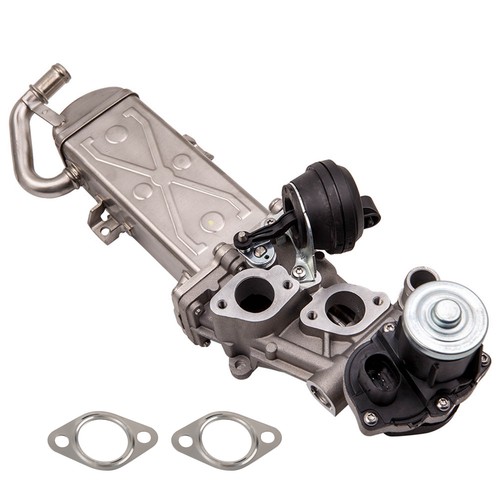 Egr valve cooler for - &, vw