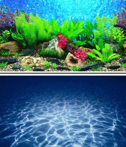 Aquarium fish tank - aquarium,