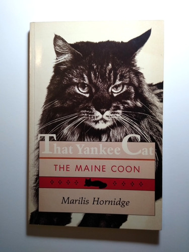 That yankee cat the - that,