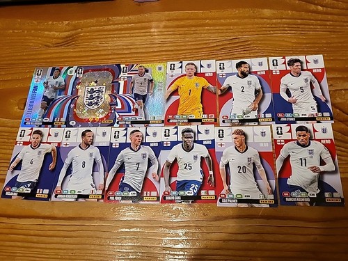 Panini adrenalyn world - adrenalyn, xl