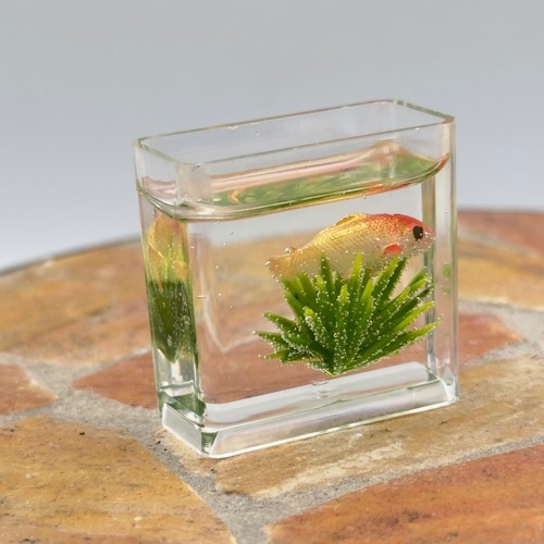 Dollhouse miniature goldfish - dollhouse,
