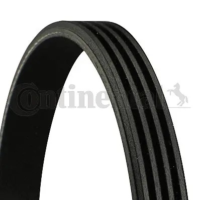 Ribbed belt fits porsche - fits:,