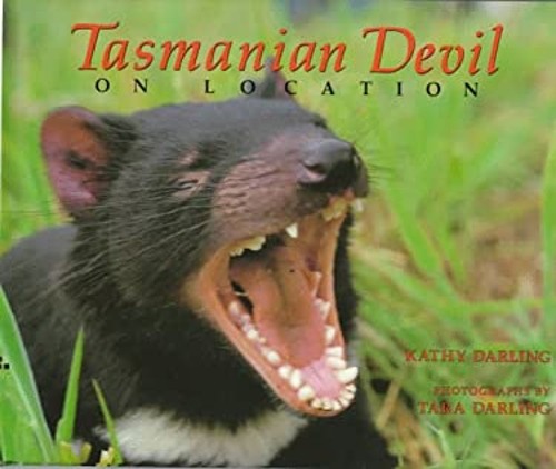 Tasmanian devil on location - :,