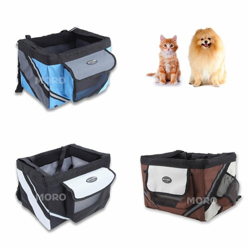 Pet cat dog - pet,
