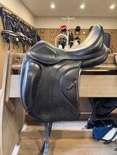 17.5 Amerigo siena cervia