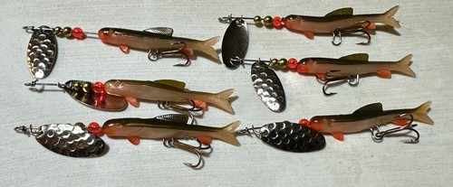 Felmlee red fin minnow - 6,