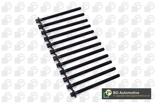 Bga cylinder head bolt - head, set
